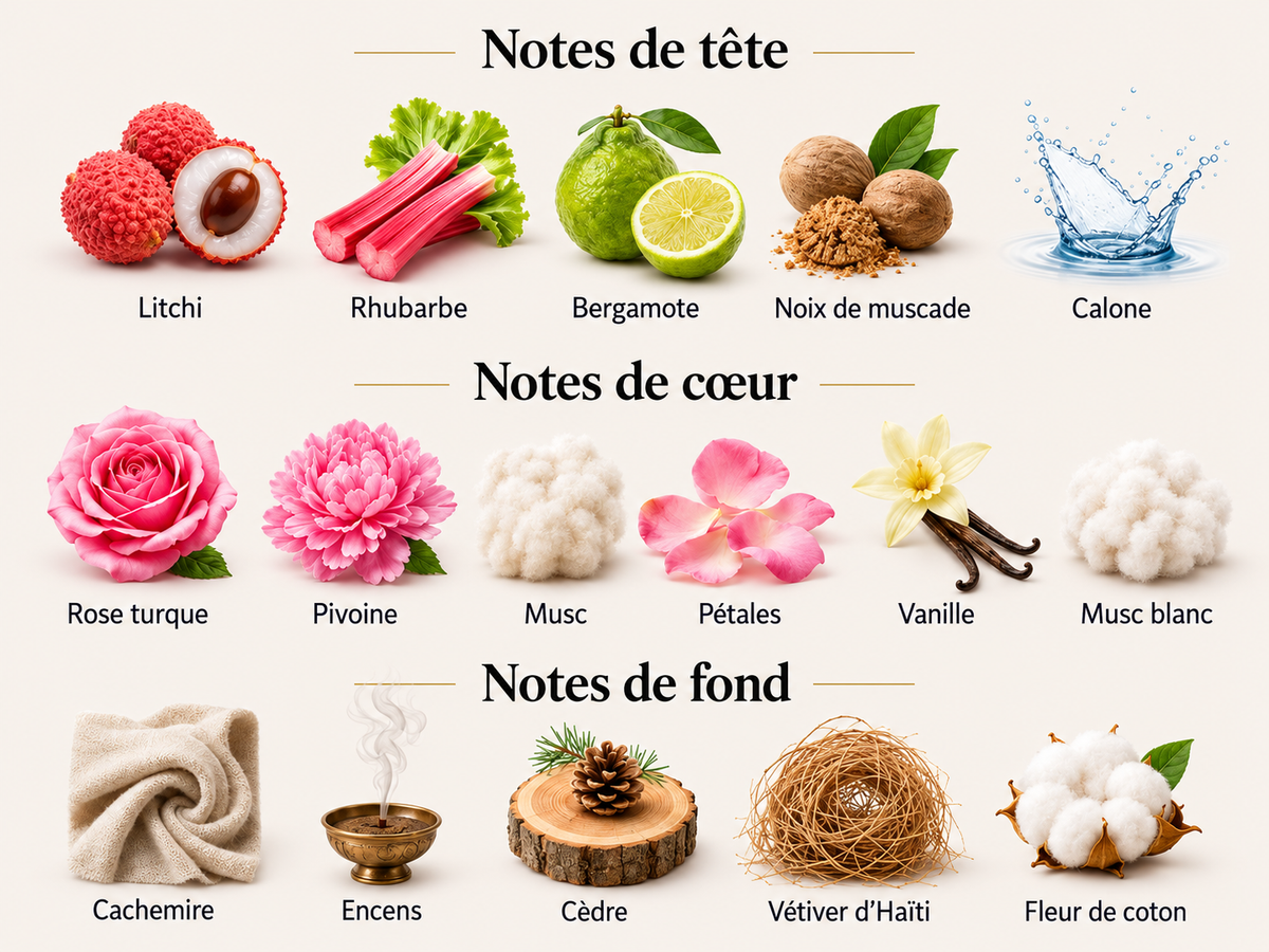 rose de minuit